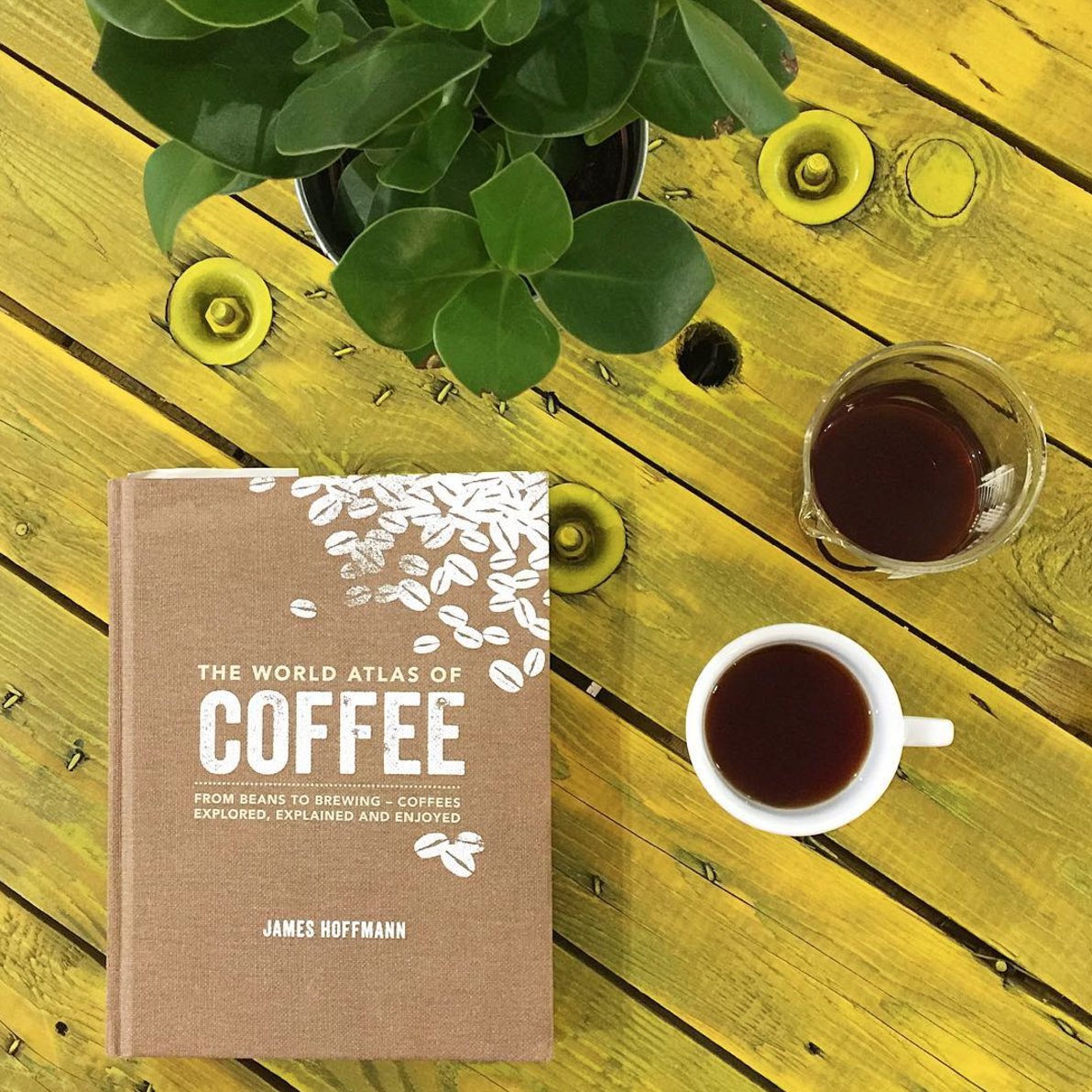 SpecialtyCoffee's tweet photo. Tour coffee-growing countries with @jimseven's The World Atlas of Coffee #SCAAStore: https://t.co/8HkDBEatpg
📷: https://t.co/oeQiK2Qxnp https://t.co/0LuIQLMQWO