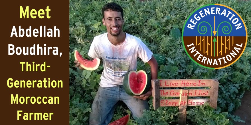 regeneration_in's tweet photo. Transitioning to #organic to save a #farm in Morocco. https://t.co/dDm47wxkVK #CookOrganicNotThePlanet #CoolThePlanet #FeedTheWorld https://t.co/QQtMYQCHhi