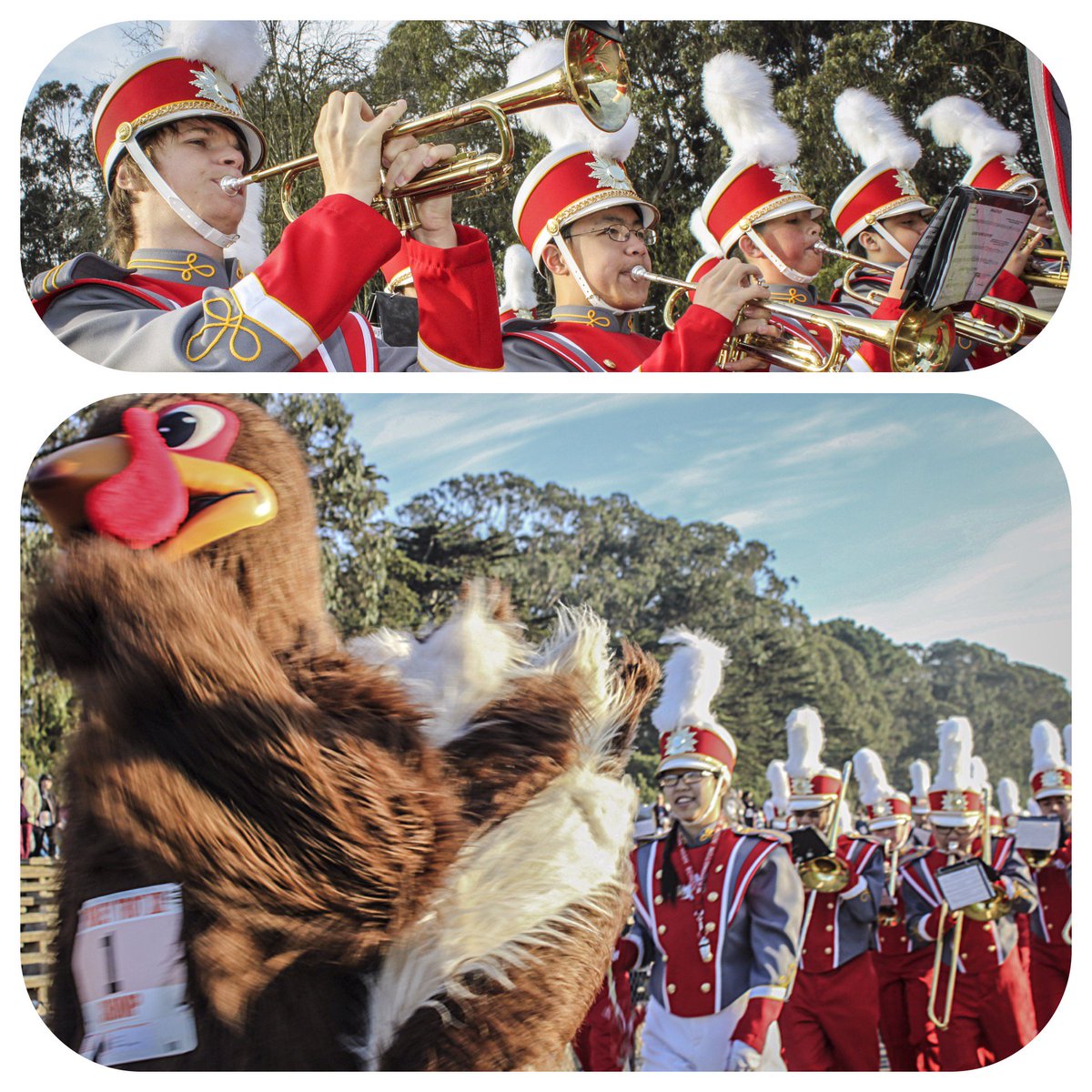 Sound the trumpets! #SFTurkeyTrot registration is at 84%  capacity and will close in less than 2 weeks! tinyurl.com/sfturkeytrot.
