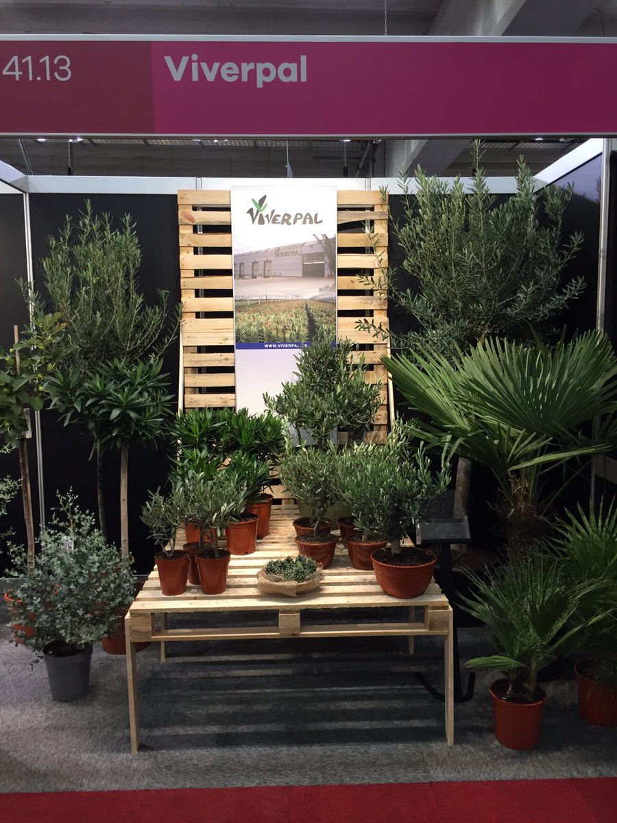 GCollectP's tweet image. Klaar voor de #tradefair @FloraHolland Bezoek ons op stand 41.7 tot 41.14 en maak kennis met de producten van #Opalbenga #Viverpal #VDplant
