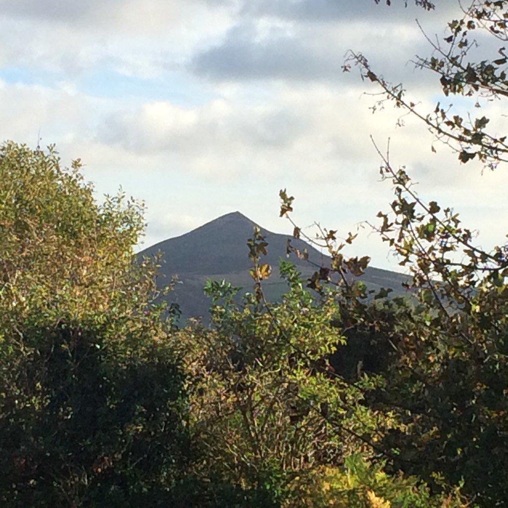 Sugar-loaf mountain, Ballybrew, co-Wicklow Ireland  #naturalswimmingpond #gardendesign