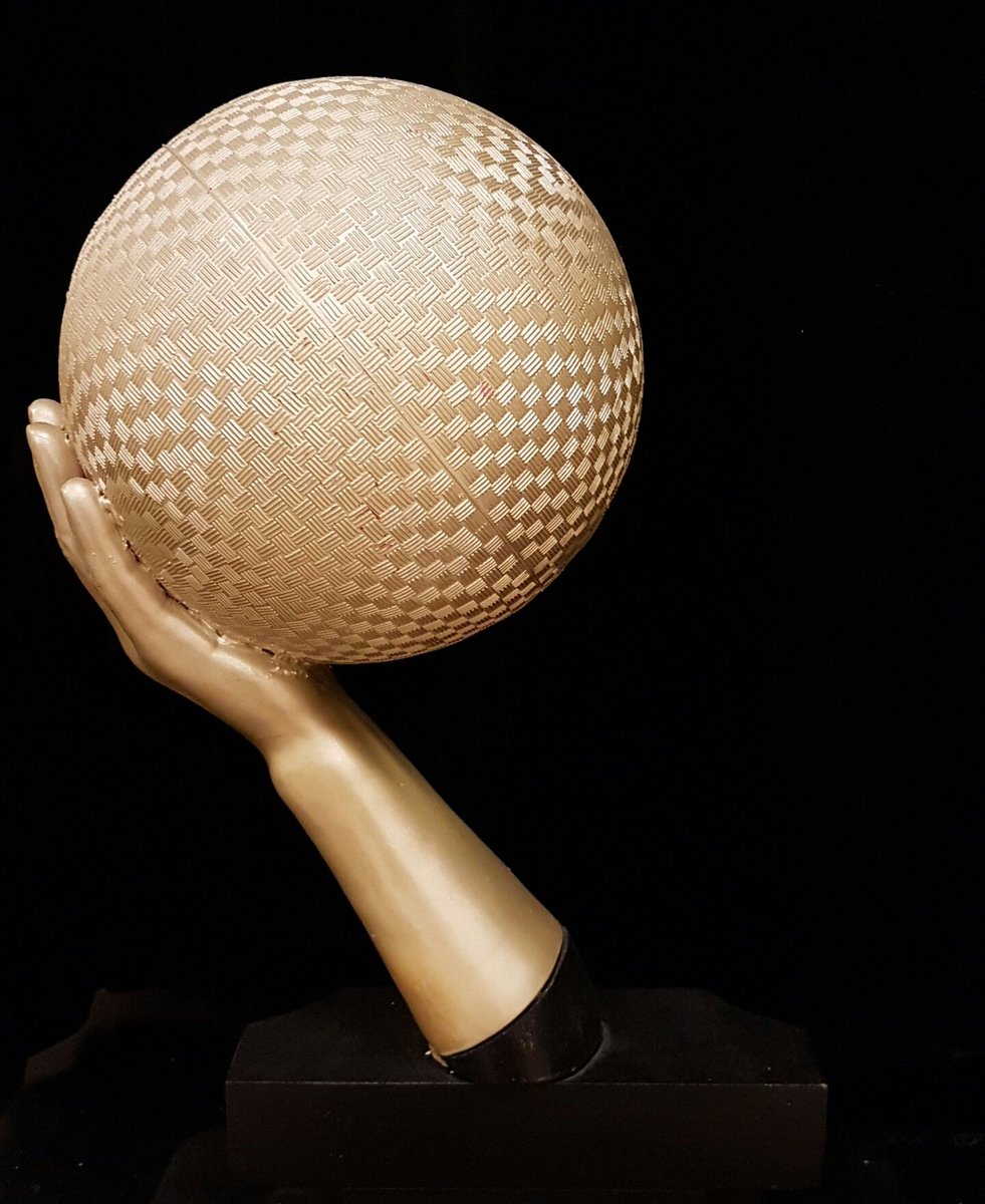 HSH_PE_Dept's tweet photo. The Coveted Dodgeball trophy!!!! https://t.co/5kDC6gzuM1