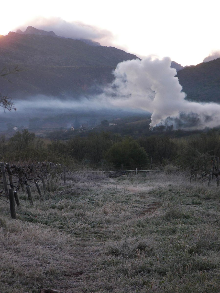 Not barking mad but tail wagging friendly: visit us! We even have amazing clouds! #Ladismith #Clouds #Travel #Nature #SouthAfrica #Karoo
