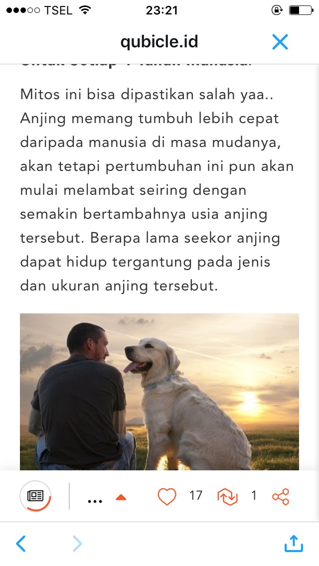 dedewi28's tweet photo. @qubicle_id @netmediatama anjing karna anjing hewan paling setia dan pintar #Qubicle 294 https://t.co/8K7uf2LQmG
