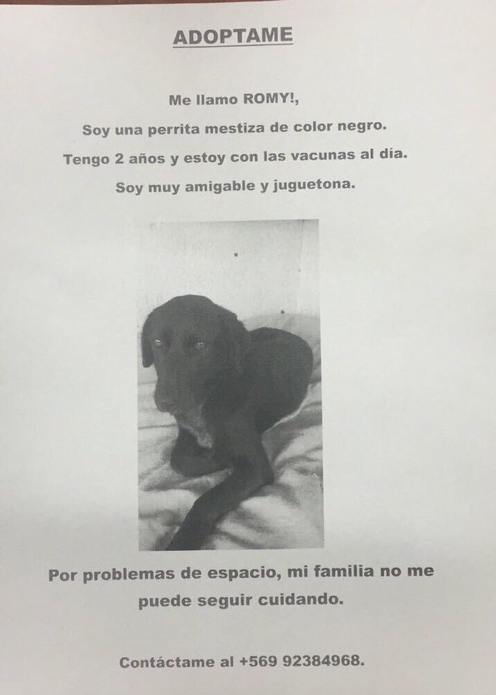 Se Extravio tweet media