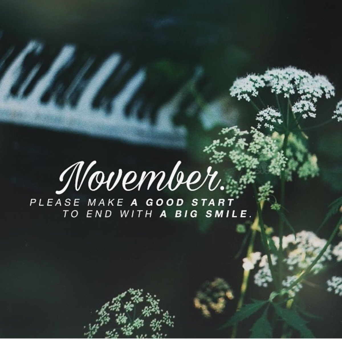 helpinghandsauc's tweet photo. Well hello, November! https://t.co/H60pwTWudf