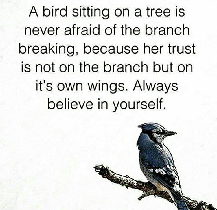 ChatoraBilla's tweet photo. Always believe in yourself.. https://t.co/SSVMQYq9jq
