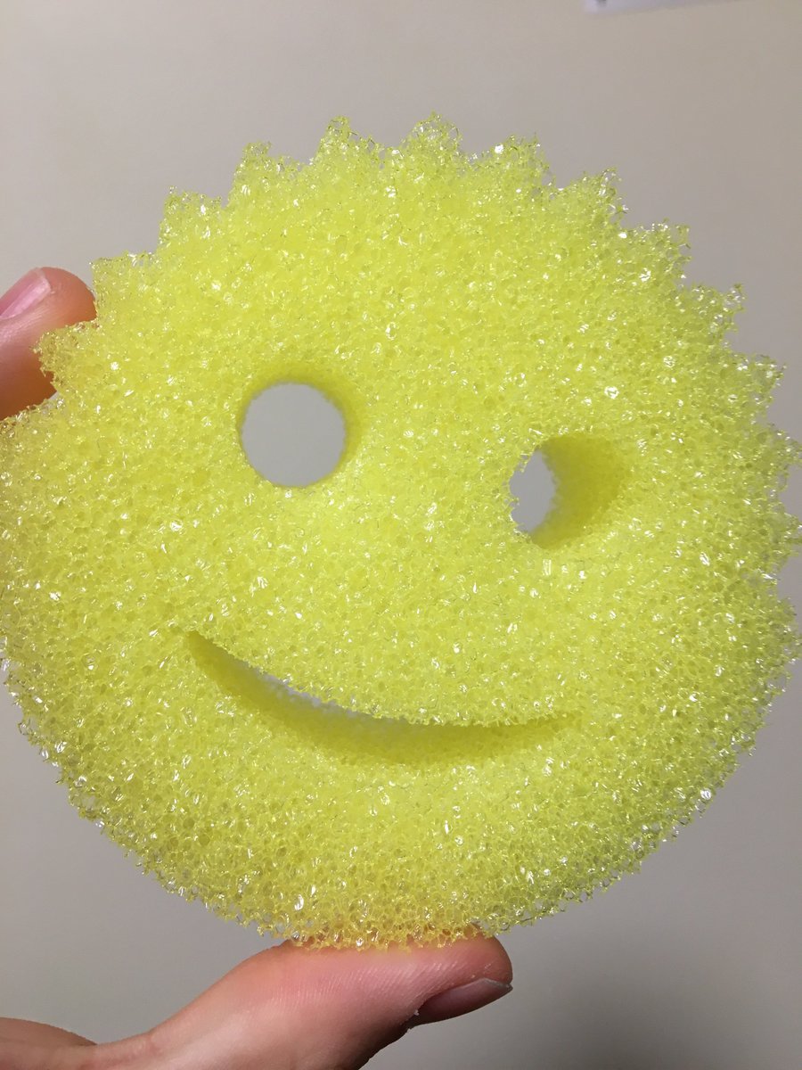 DaltonButler10's tweet photo. This sea sponge must've reaggregated itself a smile. A happy sea sponge is a healthy sea sponge. #BIOS104 #isitreal https://t.co/cPeUI6iOWy