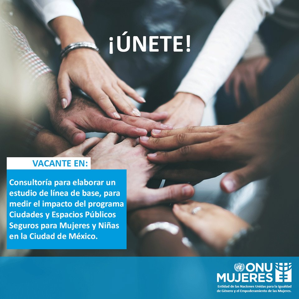 ONUMujeresMX tweet picture