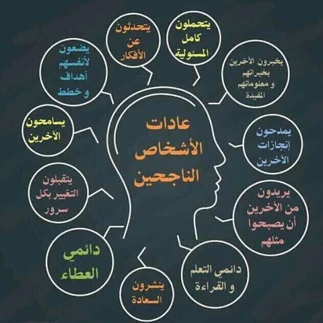 فن النجاح tweet media