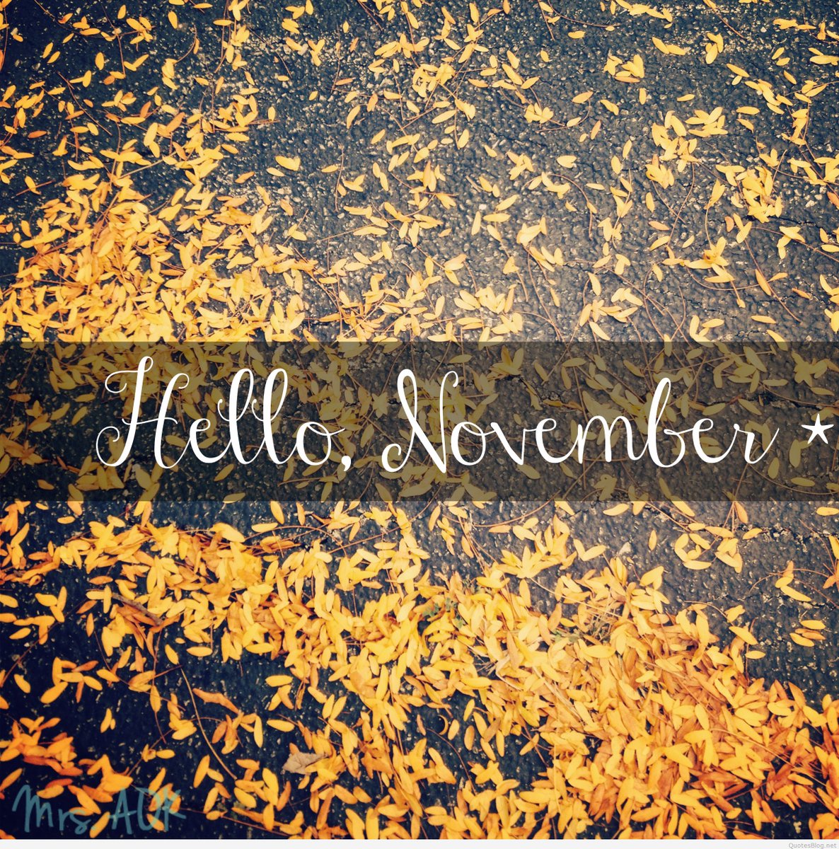 Happy #November! Here's to a month full of great #food + #gratitude. :)