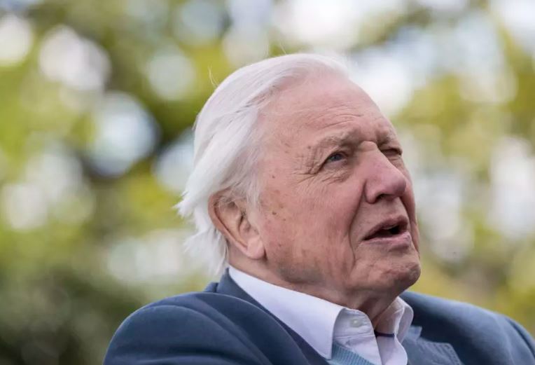 How do you solve a problem like Donald Trump? ‘We could shoot him’ says Sir David Attenborough
trib.al/C3tykUj