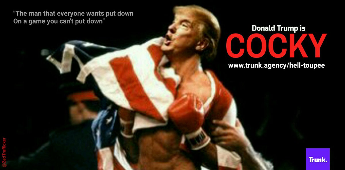 ZedTrafficker's tweet photo. I tell u this #helltoupee brief has been loads of fun, managed a score of 128 https://t.co/JPJ6hRsWEe @OneMinuteBriefs @TrunkAgency #trump https://t.co/GoDY9a6tRn