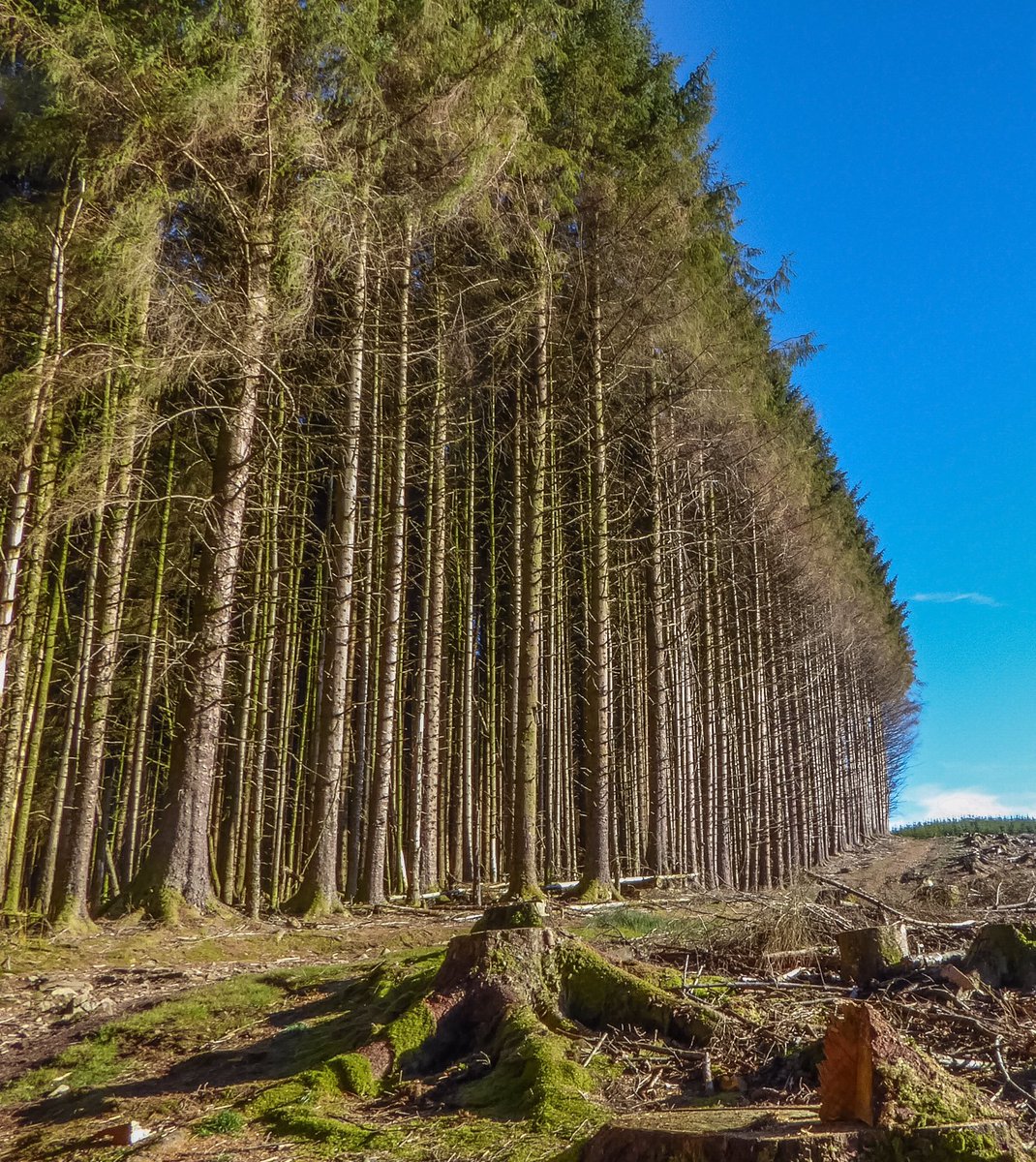 Robin Cooper tweet media