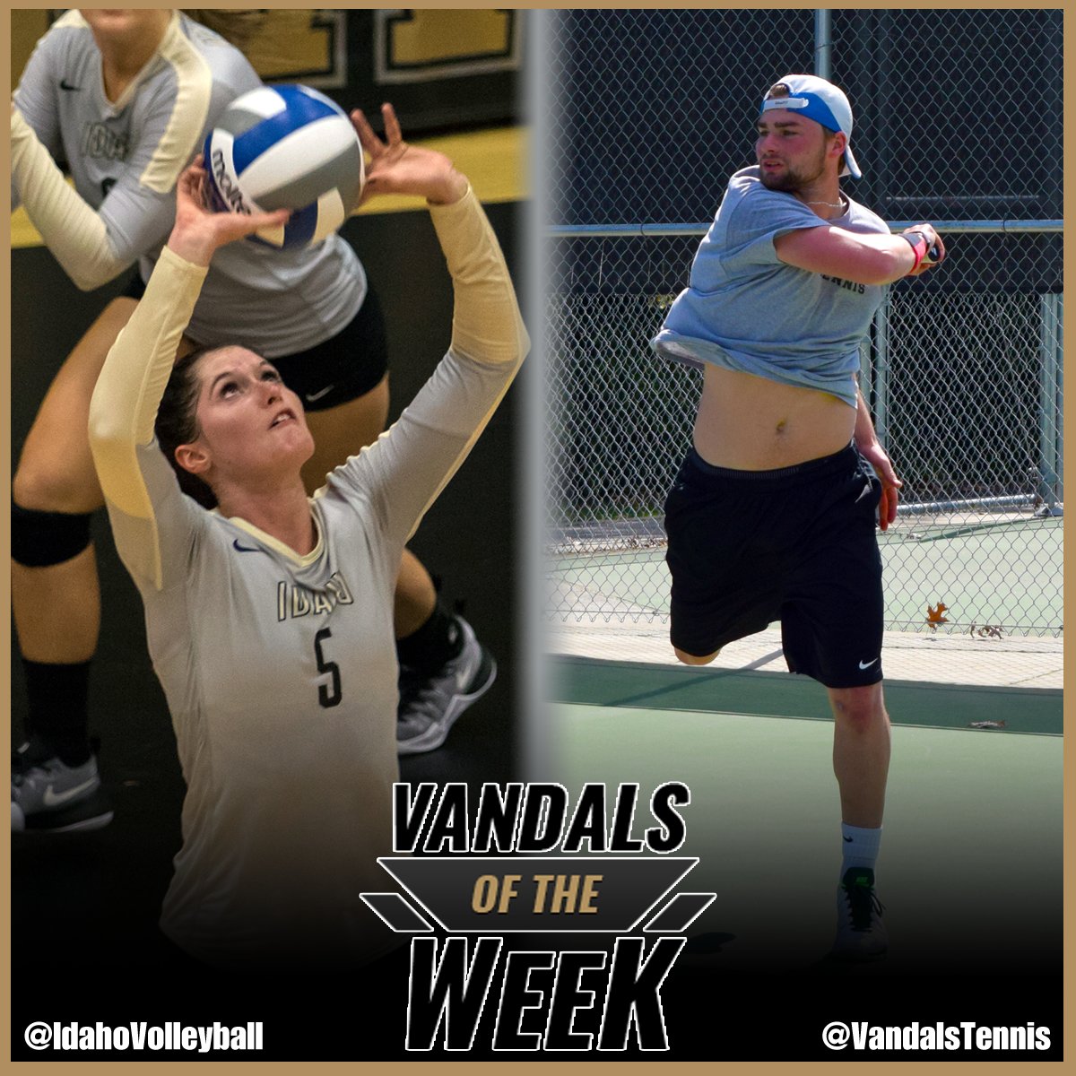 Idaho_Vandals's tweet photo. Congratulations to our #VandalsOfTheWeek #GoVandals @IdahoVolleyball @vandalstennis https://t.co/IuhKImLISB