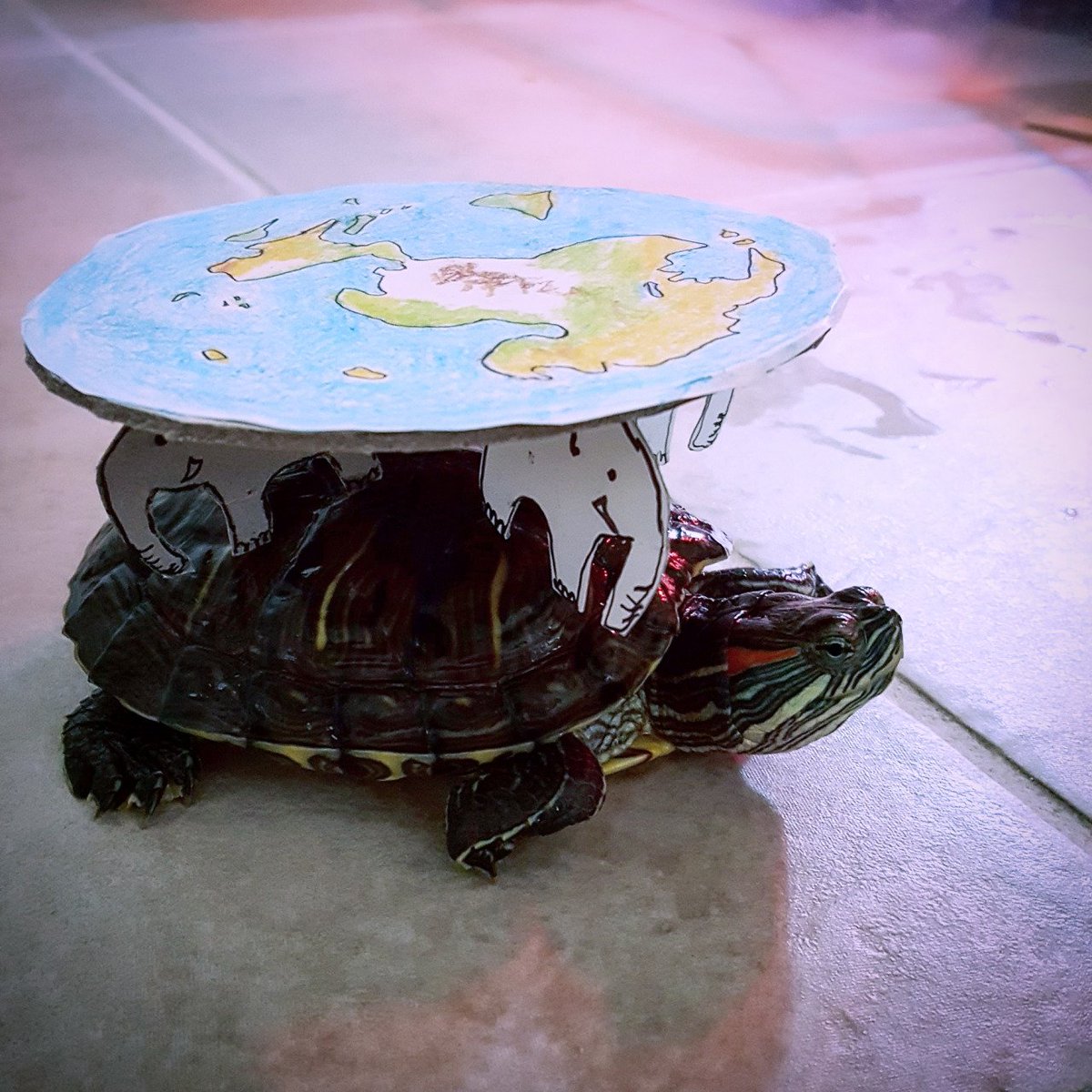 ftcreature's tweet image. And the winner of the best Halloween costume this year goes to... 🐢🌎