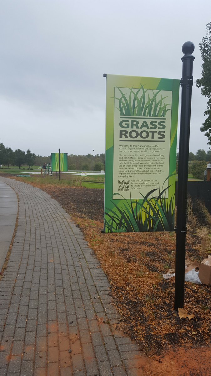 Kevin Morris tweet media