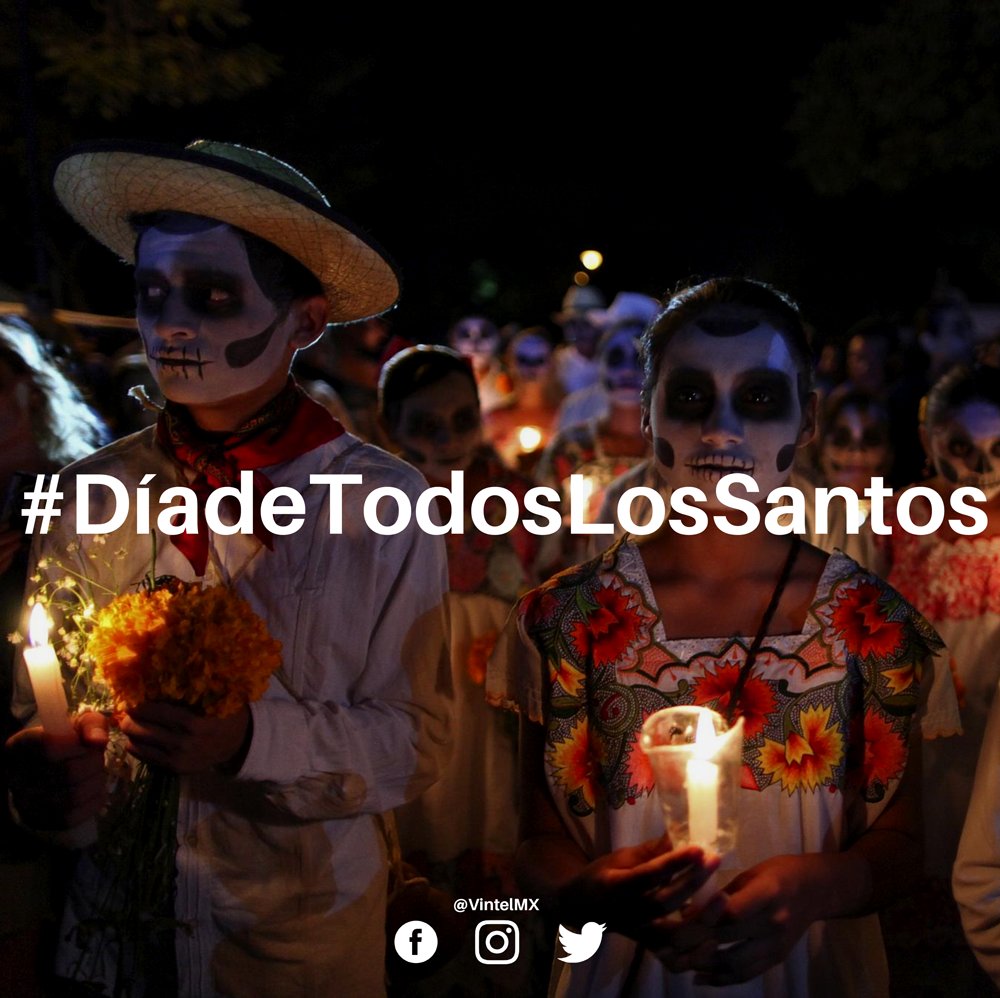 VintelMX tweet picture