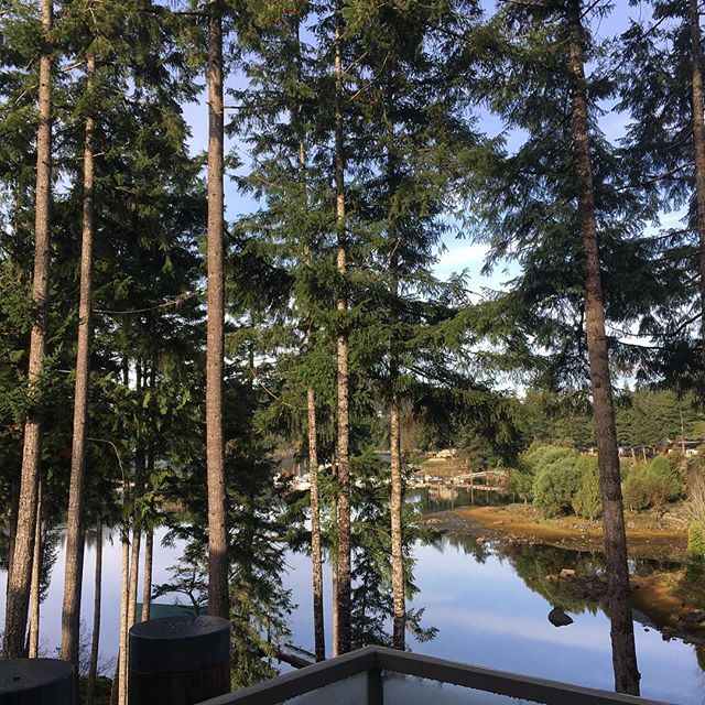PaintedBoat's tweet photo. Just the view from our deck #nofilter #takemeback #paintedboat #purepnw ๐ท: @meredithsarahanne https://t.co/23kTaQNIfh