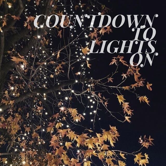 runwaytulsa's tweet photo. Our sponsor @uticasquare will be hosting the 49th year of Lights On this Thanksgiving! We love this Tulsa tradition… https://t.co/qxUJZUICT0