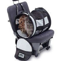 ymonaca's tweet photo. Excelente idea para llevar a mi perrita en en carro. Lo quiero para Cloe. Ella es muy con... https://t.co/4rz3FhbtDt https://t.co/R1uK6exfze