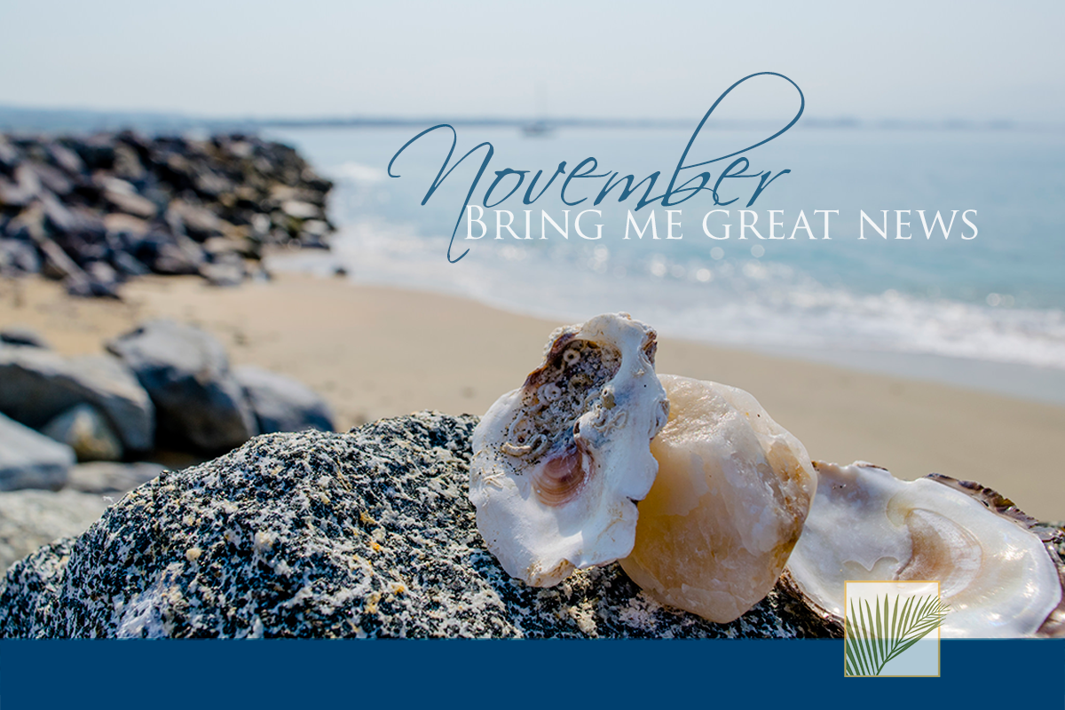 BoutiquePRC's tweet photo. Open mind...
#AboutiquePRC #RivieraNayarit #PuertoVallarta #BienvenidoNoviembre #FelizMartes https://t.co/q4xAUCuSdg
