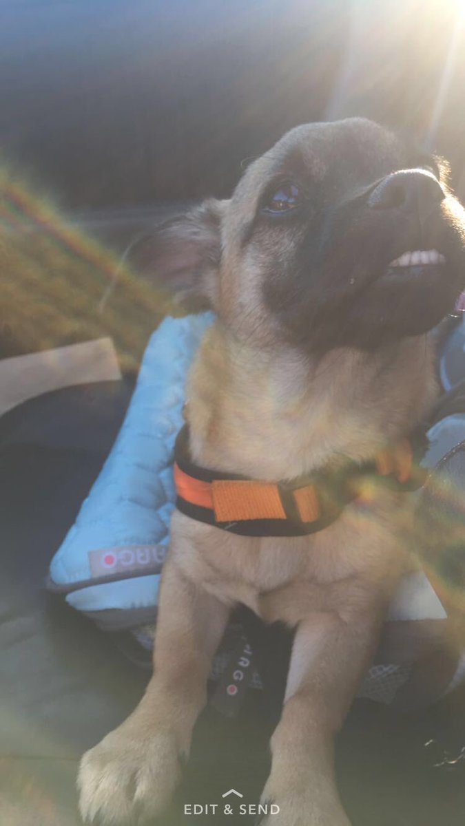 Porrtitties's tweet photo. Blessing you with the underbite king 👑 https://t.co/YtqnuTVKu2