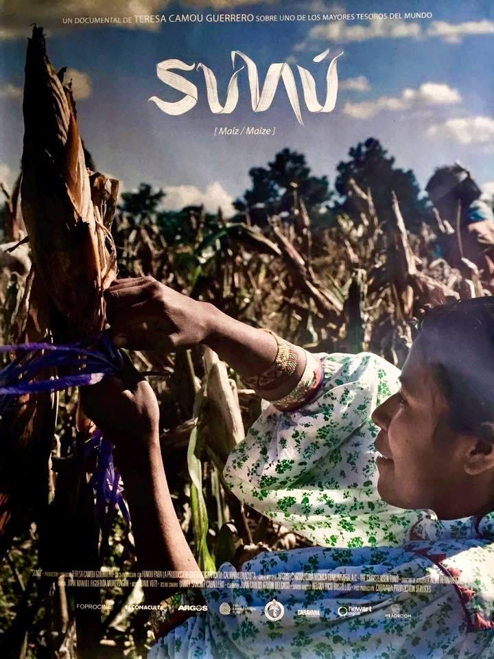 CineHorizontesD's tweet photo. ¡Este #viernes tendremos una de los documentales del @Imcine que todo #mexicano debería de ver: @sunudoc! Lugar: @museodelchopo | Hora: 5 pm https://t.co/KKCb3mRjqw