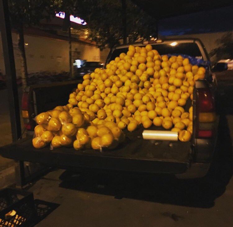 bunktheband's tweet photo. #citrussucker https://t.co/wKn10HXwFL