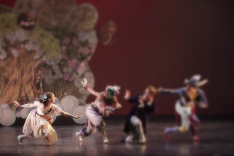 SaltCreekBallet's tweet photo. The Nutcracker Guest Artist have been announced! https://t.co/9tNzNwLKhQ https://t.co/17WhVPqRYN