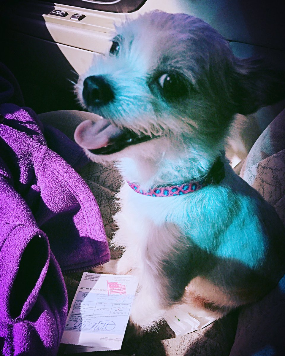 ma11oryjn's tweet photo. We voted! And I couldn't have been prouder to cast my #vote for the first female #President, @HillaryClinton! #ImWithHer #DemocraticDogs https://t.co/6YUN6VTFFg