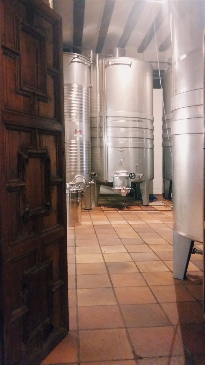 SIGRID GUILLEM tweet media