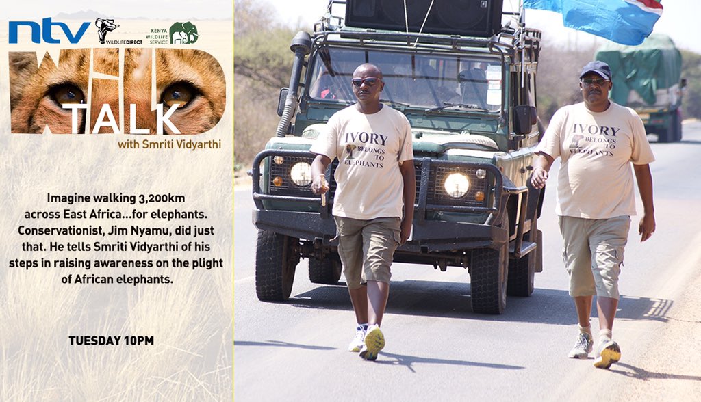 wildlifedirect's tweet image. Tonight's #NTVWILD talk we meet conservationist @NyamuJim who walked 3200km across EA. Why..?Tune in to @ntvkenya w/ @SmritiVidyarthi