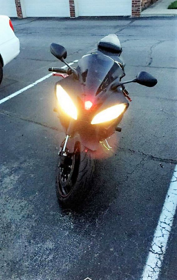 ZeusTheOG's tweet image. babe