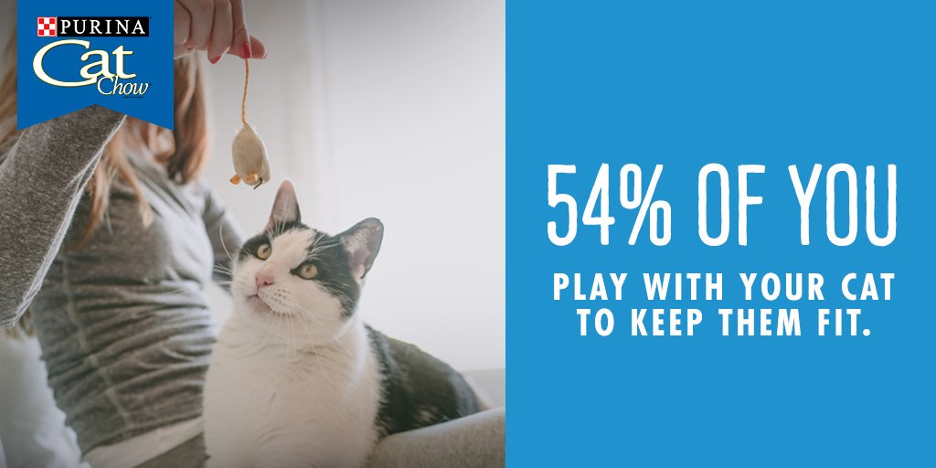 Purina Cat Chow tweet media