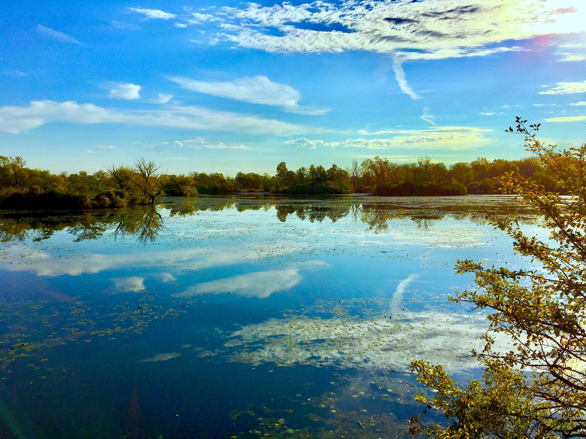 JJBFLOFZ09 (@jjwnyeriebflo) on Twitter photo Enjoying this perfect day. <a href="/maggconn/">Buffalo Daily Photo</a> @twc <a href="/wgrz/">WGRZ</a> <a href="/WKBW/">7 News WKBW</a> <a href="/cw23buffalo/">CW23 WNLO-TV</a> <a href="/news4buffalo/">News 4 Buffalo</a> #photography <a href="/nature/">nature</a> #sunny #lake #photography Enjoying this perfect day. <a href="/maggconn/">Buffalo Daily Photo</a> @twc <a href="/wgrz/">WGRZ</a> <a href="/WKBW/">7 News WKBW</a> <a href="/cw23buffalo/">CW23 WNLO-TV</a> <a href="/news4buffalo/">News 4 Buffalo</a> #photography <a href="/nature/">nature</a> #sunny #lake #photography
