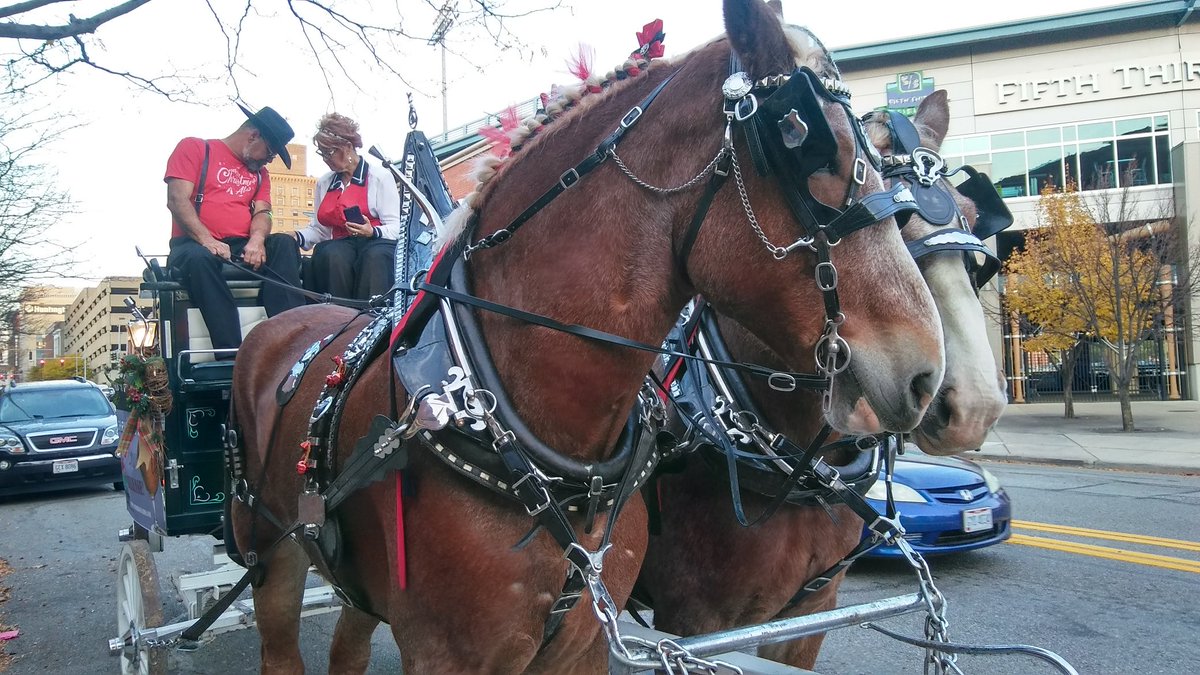 JecVog's tweet photo. Horse drawn carriage delivered kegs of @GLBC_Cleveland #christmas #ale to @DowntownToledo bars today https://t.co/mF6VqB9s1V