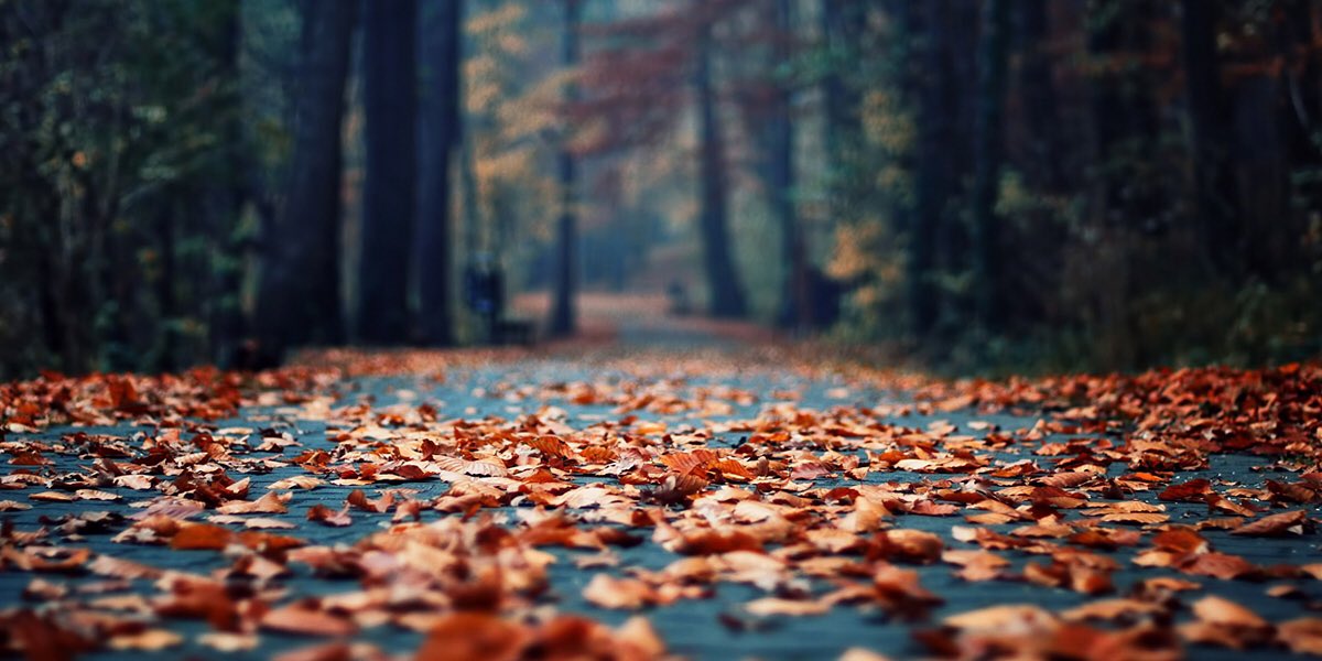 hamiltonlayout's tweet image. Anthony layout!