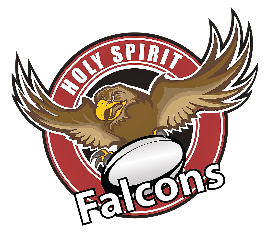 HSFalconHockey's tweet photo. The Rugby team needs your support 4PM Wed at Sgt. Ned Nugent's Field as they go for the AAAA's Finals. Falcons Show your colors #GOFALCONS https://t.co/tVJy8EuISx