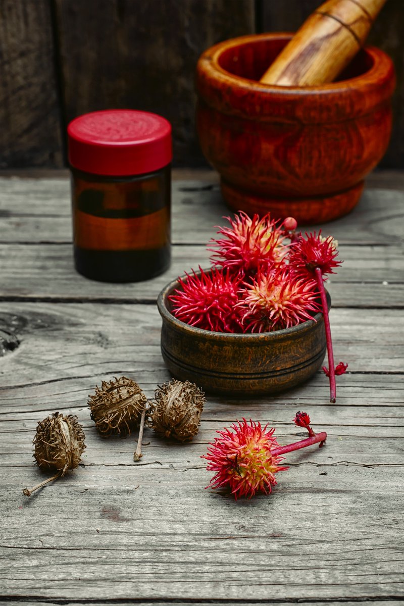 WhimsyMailPutterPail tweet media