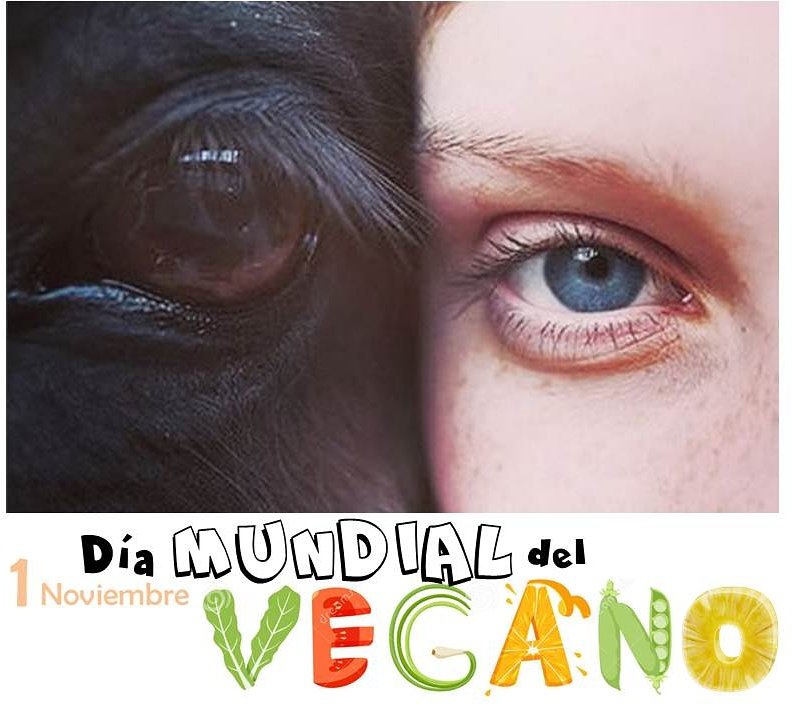 natural systems tweet media