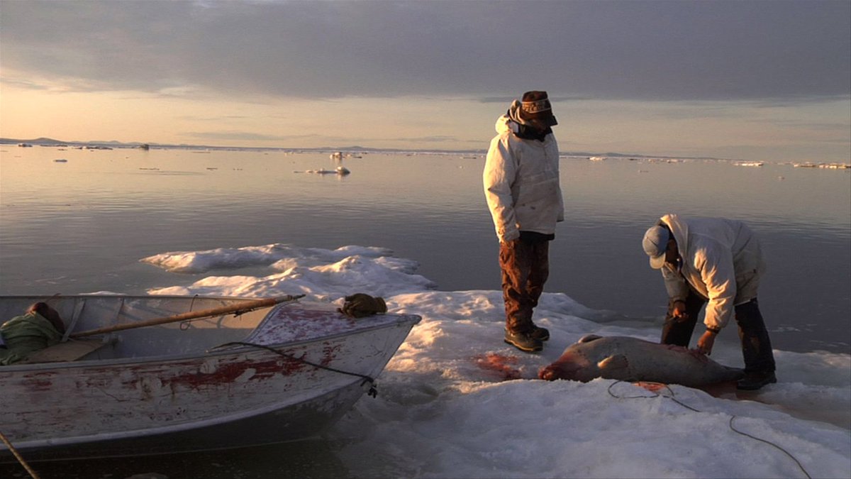 PBSSoCal's tweet image. TONIGHT: the Inupiaq people fight for survival amid climate change. Watch @worldchannelptv at 9pm: bit.ly/2frNGtz  #NativeInspired
