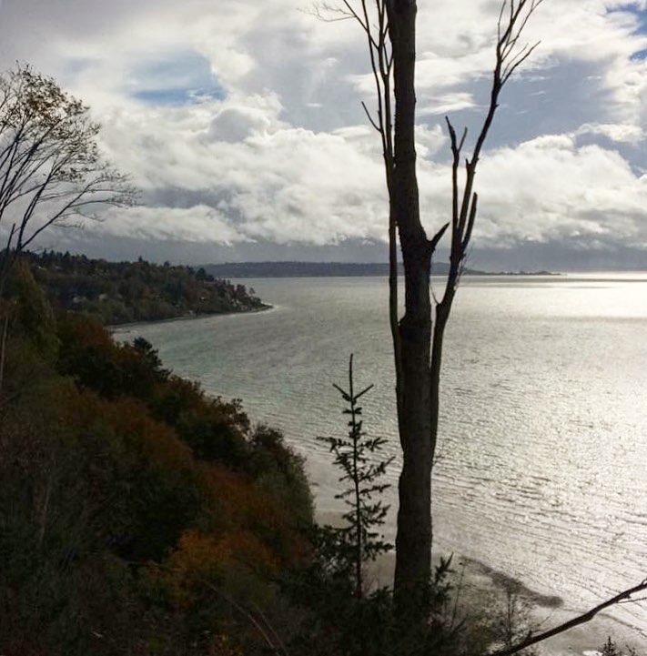 GlbetrotterGrls's tweet photo. Autumn walk in Discovery Park #seattle #pnw #autumninseattle #fall #discoverypark #discoveryparkseattle #seattlewash… https://t.co/unTyBBh7Zo