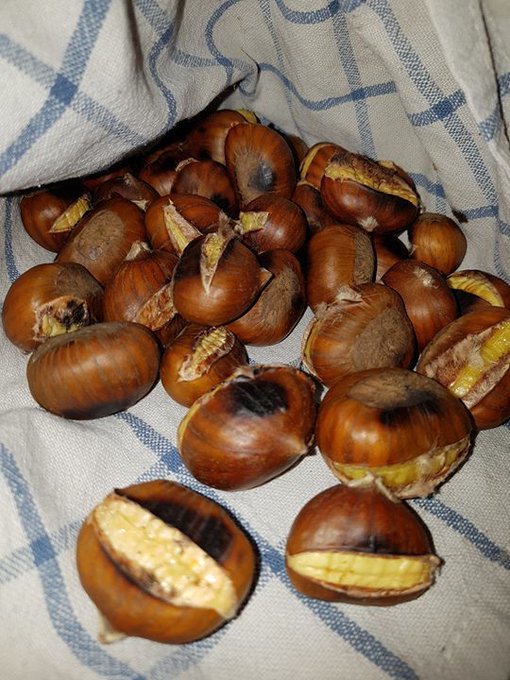 Eh... https://t.co/X2gArzwNXz