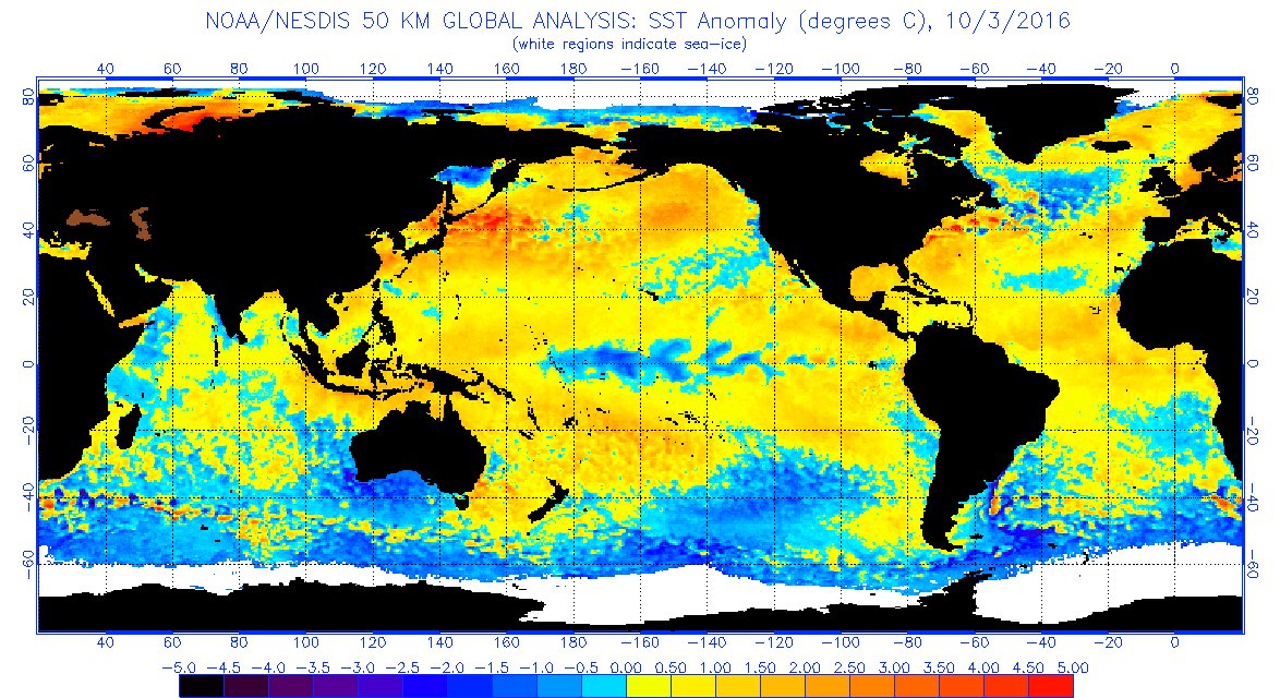 StormchaserNYC's tweet photo. @NEweatherHQ With PDO going warm, this winter my end up being a big one for the East Coast #winter20162017 #newx. https://t.co/hOu2D1c1NJ