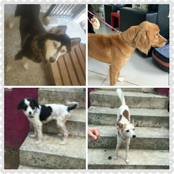 Zülal Kutluer tweet media