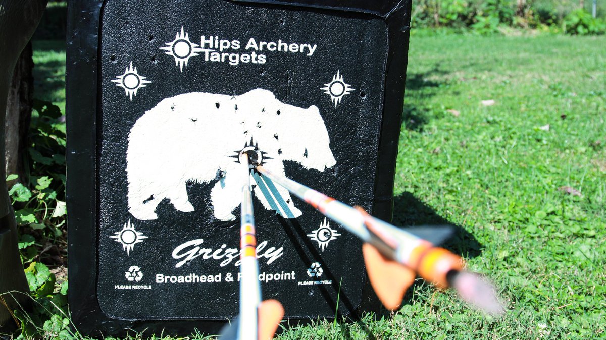 Bull's-eye! Thanks for sharing <a href="/Lethal_mission/">Lethal Mission</a>