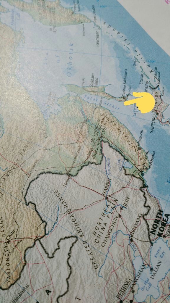 SaishaStar's tweet photo. @Trto90 I spotted this while doing my geography homework ! #Tatarstrait #whichisabodyofwateralmostlikeagulf https://t.co/2JmgTFIeDx