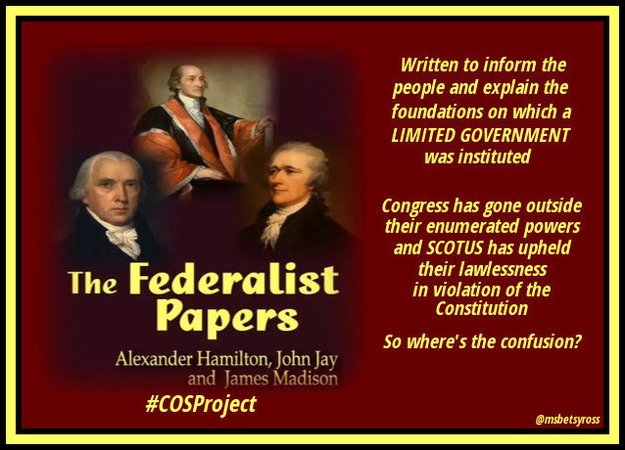 DDS_62's tweet photo. MT @cindyforliberty: They 'wrote the book' on how Govt was instituted. So where's the confusion? #FF1776 #ArticleV https://t.co/ruMg3ZS7P9