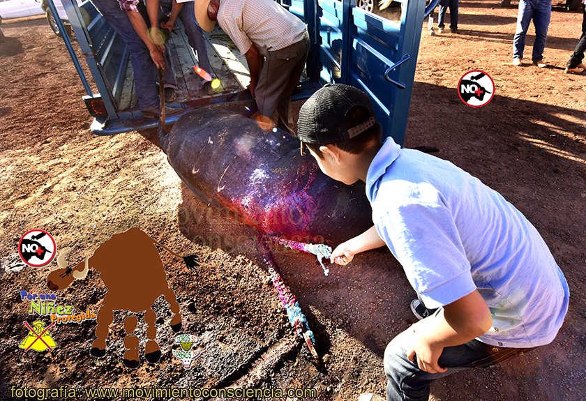 Mov_Consciencia's tweet photo. @MauVila Lo que se les dé a los niños, los niños darán a la sociedad x #NiñezPrtoegida acatar YA la recomendación de #CODHY
@eligamboasolis https://t.co/KdjCfw5sKY